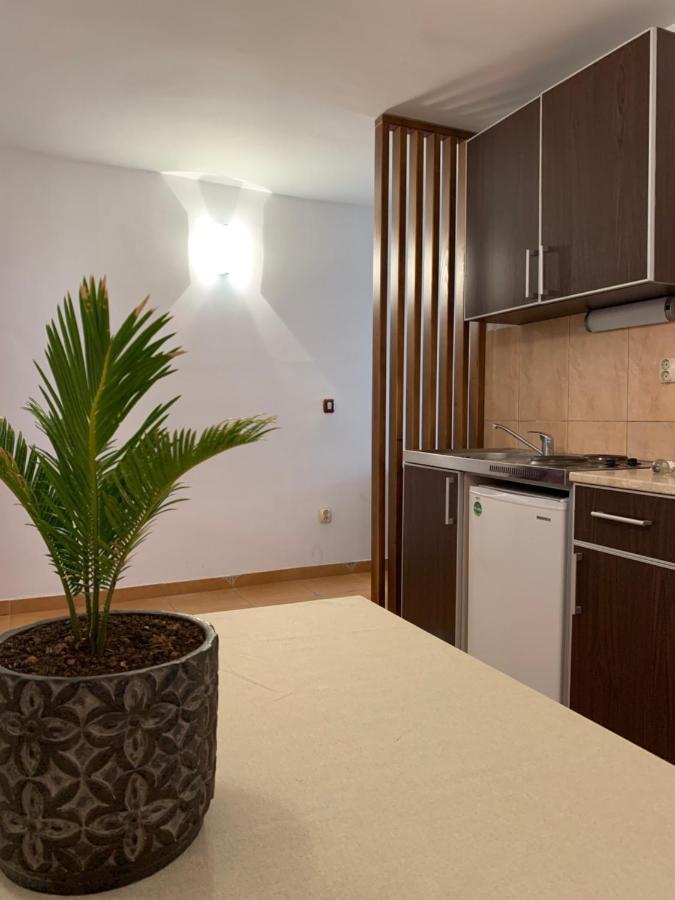 The Four Fish Apartment Petrovac Exterior foto