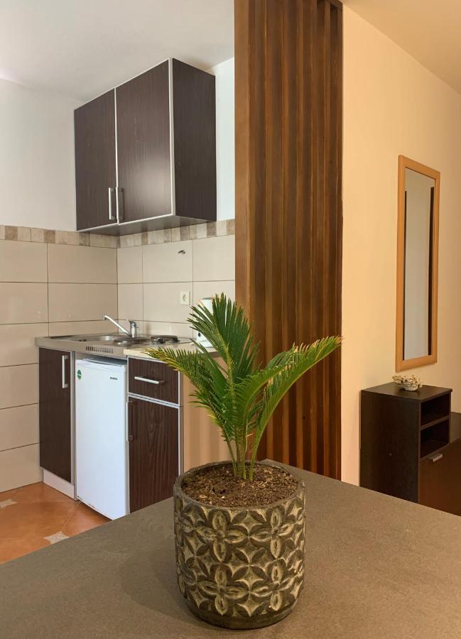 The Four Fish Apartment Petrovac Exterior foto